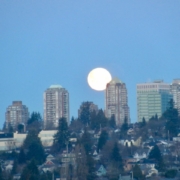 warm moon