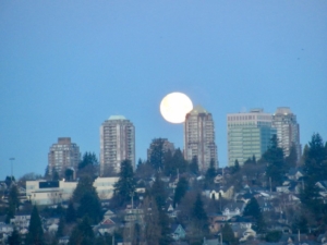 warm moon