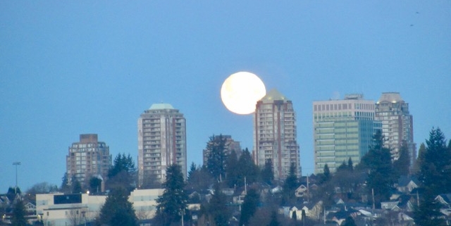 warm moon